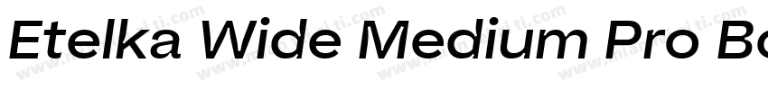 Etelka Wide Medium Pro Bold Italic字体转换